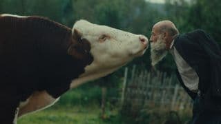 Raději zešílet v divočině