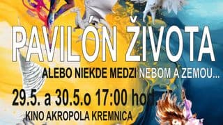 ZUŠ J.L.Bellu / Pavilón života alebo niekde medzi nebom a zemou