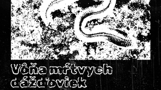 Vernisáž kolektívnej výstavy Vôňa mŕtvych dážďoviek
